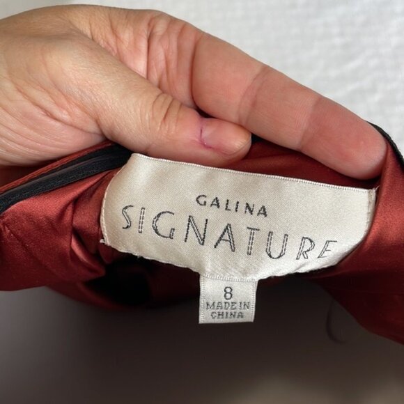 Galina Signature Dress in Cinnamon Stretch Crepe - Picture 8 of 10